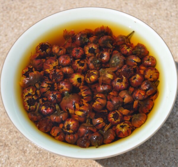 Snow Chrysanthemum Buds Flower Tea from the Kunlun Mountains