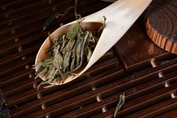 Fuding "White Peony" Bai Mu Dan White Tea