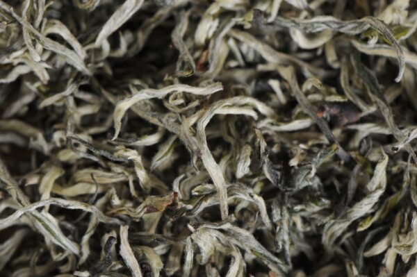 Yunnan "Pure Bud Silver Strands" First Flush Green Tea