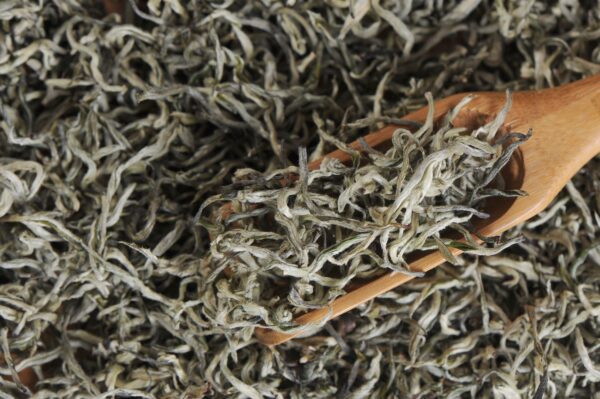 Yunnan "Pure Bud Silver Strands" First Flush Green Tea