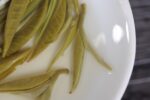 Yunnan "Pure Bud Silver Strands" First Flush Green Tea