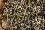 Yunnan "Early Spring Silver Strands" Green Tea of Simao