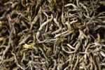 Yunnan "Early Spring Silver Strands" Green Tea of Simao