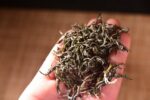 Yunnan "Early Spring Silver Strands" Green Tea of Simao