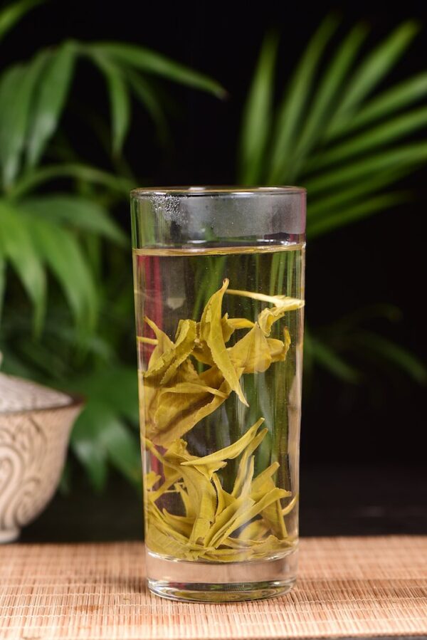 Yunnan "Early Spring Silver Strands" Green Tea of Simao