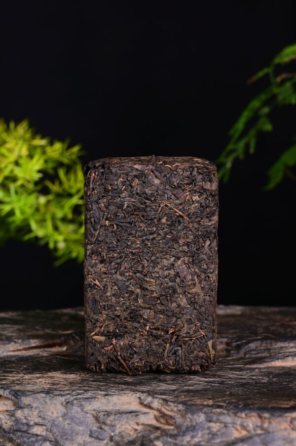 2018 Mojun Fu Cha "Himalaya Fu Brick" Tea