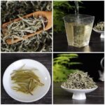 Yunnan "First Flush" Green Tea Sampler